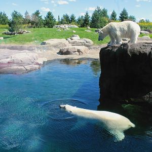 Sep. 2018 - Polar Frontier