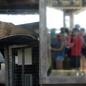 Sep. 2018 - Heart of Africa - On the Plane
