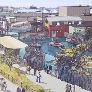 Sep. 2018 - Future Sea Lion Exhibit