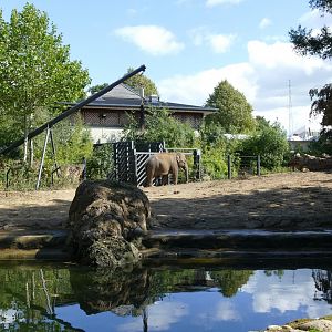 Bull elephant enclosure, September 2018