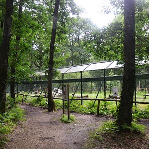 Barbary Macaque Enclosure at Pescheray, 13/06/18