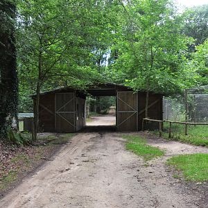 Raccoon Enclosure (and Golden Jackal Viewing at the right) at Pescheray, 13/06/18