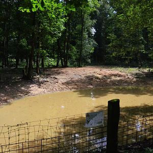 Future Water Buffalo, Axis Deer and White Stork Enclosure at Pescheray, 13/06/18