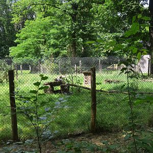 Arctic Fox Enclosure at Pescheray, 13/06/18
