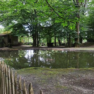 Capybara Enclosure at Pescheray, 13/06/18