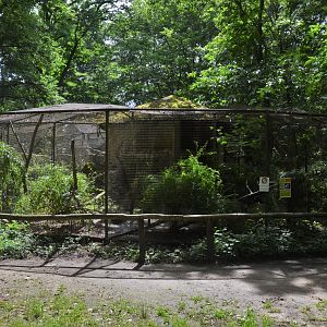 Ocelot Enclosure at Pescheray, 13/06/18