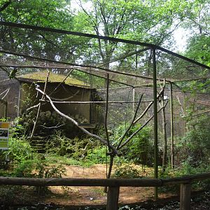 Macaw Aviaries at Pescheray, 13/06/18