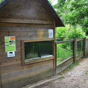 European Otter Enclosure at Pescheray, 13/06/18