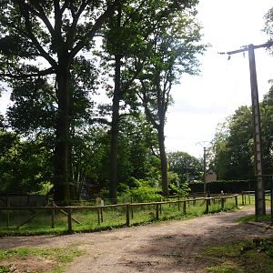 Coati Enclosure at Pescheray, 13/06/18