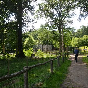 Coati (L) and Tayra (rear) Enclosure at Pescheray, 13/06/18