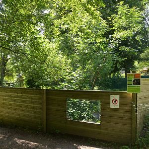 Crab-eating Raccoon Enclosure at Pescheray, 13/06/18