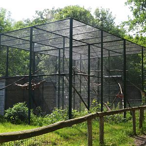 Tayra Enclosure at Pescheray, 13/06/18