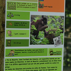 Signage Example (Brown ('Mayotte') Lemur) at Pescheray, 13/06/18