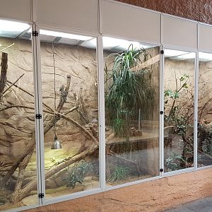 Lizard - Stick insect enclosures