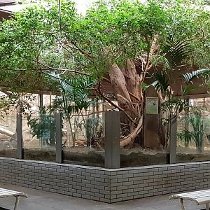 Sloth - Tortoise enclosure