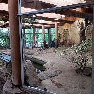 Pygmy hippo indoor-enclosure