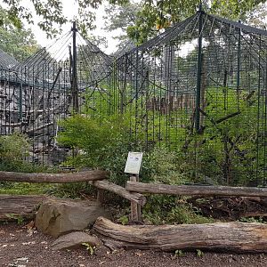 Lion-tailed macaque outdoor-enclosure
