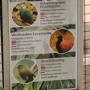 Bird-signs