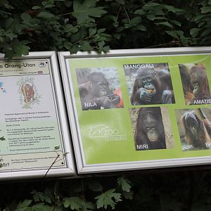 Sign and ID's Duisburg Orang utans