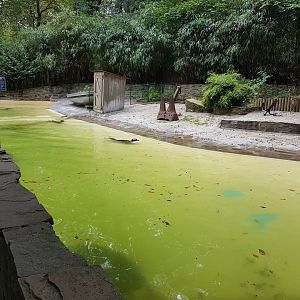 Harbour seal-enclosure