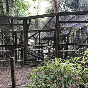 Squirrel monkey enclosure 150918