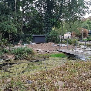 Enclosure Eurasian river otter - under construction