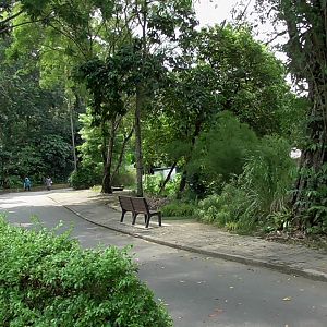 View in the Zoo