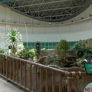 Inside Giant Panda House