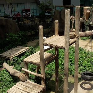 Giant Panda Enclosure