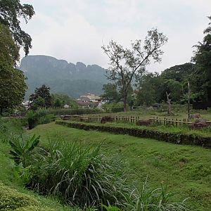 African Area and View