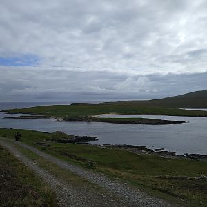 Isle of Noss, Shetland