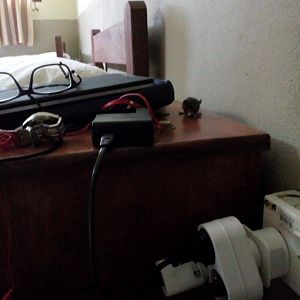 Large Pencil-tailed Tree-mouse on my Bedside Table