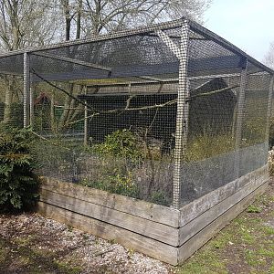 Pheasant aviaries