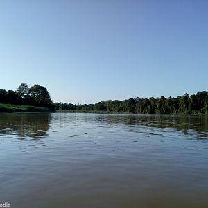 Kinabatangan River View