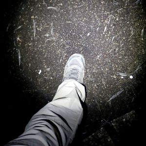 My Boot Slowly Sinking into Bat Guano