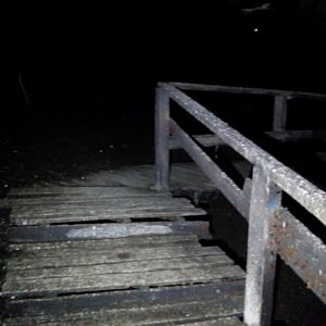Path Through Gomantong Cave