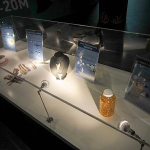 Educational Display - shark products