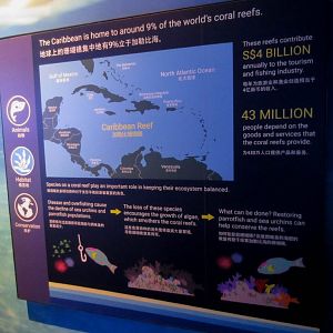 Educational graphics