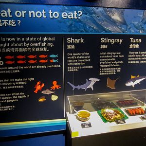 Educational graphics