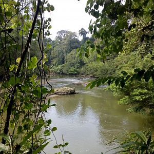 The Segama River