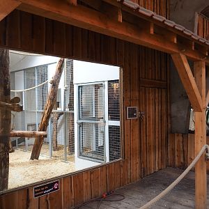 Indoor primate housing viewing area