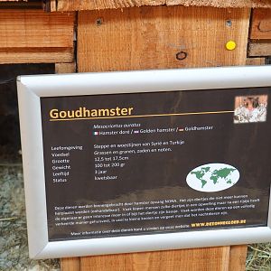 Signage style - Golden hamster sign