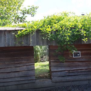 Eurasian lynx viewing area
