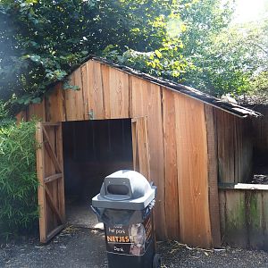 Rabbit, guinea pig and pigeon barn