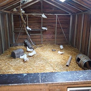 Interior of the rabbit, guinea pig and pigeon barn