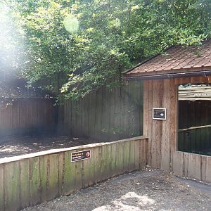 Pot-belly pig yard and barn