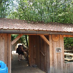 Visitor passage through pig and muntjac barn