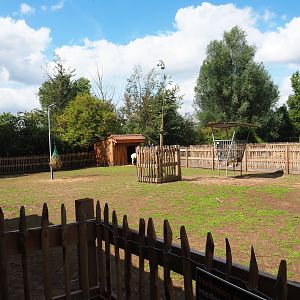Alpaca and miniature donkey paddock