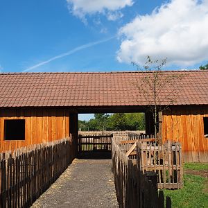Peting zoo barn passage