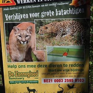 Sign future big cat exhibits